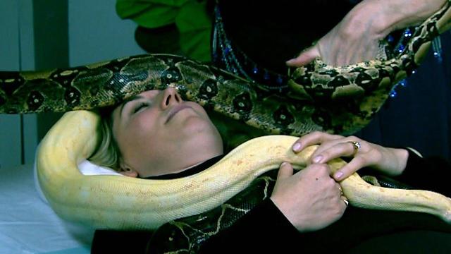 Colorado woman 'terrified' to discover 4-foot snake slither out of