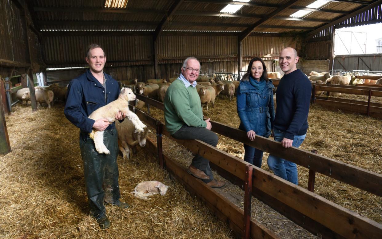 The Hawkey family, from left Olly, Andrew, Jaime and Shaun, in the lambing shed - COPYRIGHT JAY WILLIAMS