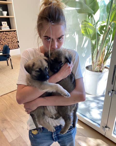 <p>The actress shared a series of photos of herself kissing her fostered puppies Bowie and Hendrix during the coronavirus pandemic.</p><p>She captioned the sweet snap: 'Fostering these cuties during quarantine and you should.'</p><p><a href="https://www.instagram.com/p/B-NmqOUl4Tc/?utm_source=ig_web_copy_link" rel="nofollow noopener" target="_blank" data-ylk="slk:See the original post on Instagram;elm:context_link;itc:0;sec:content-canvas" class="link ">See the original post on Instagram</a></p>