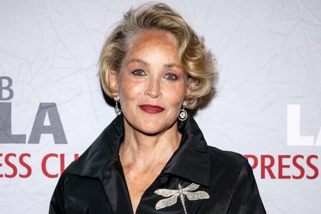 Sharon Stone Says She Met 'Convicted Felon' and Man with '20,000 Heroin  Injections' While Online Dating