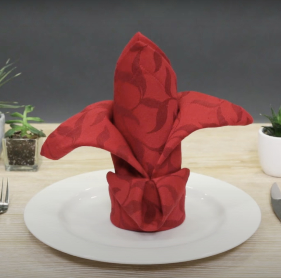 napkin folding ideas