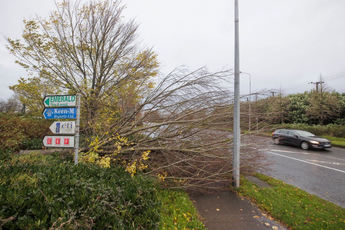 Heavy winds and fallen trees have been reported across Ireland as local authorities begin to assess the damage as Storm Debi batters the country. (Liam McBurney/PA Wire)