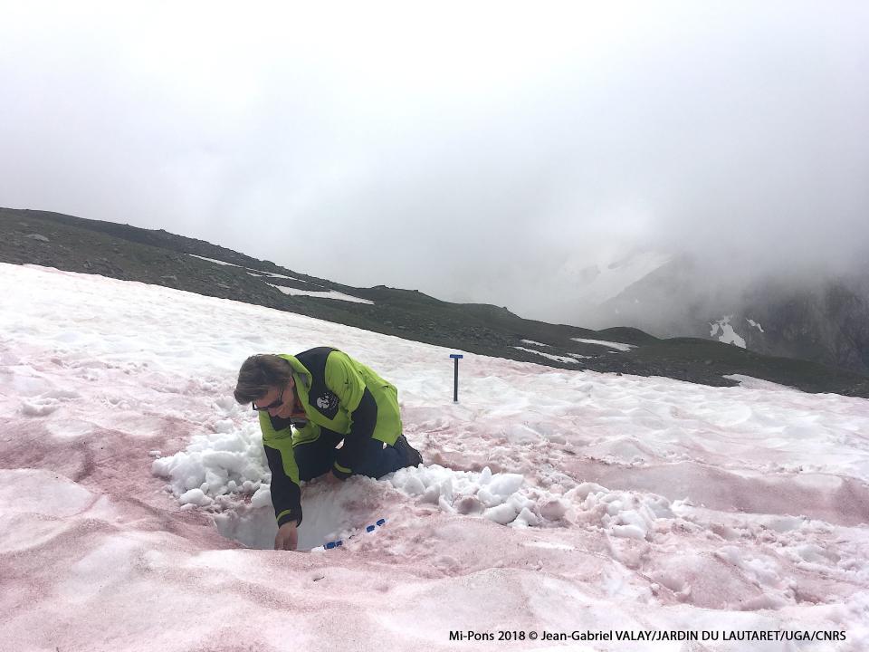 man on knees in pink snow reaching down a pit into white snow in foggy mountain landscape