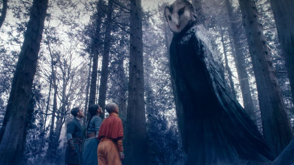 The Owl Spirit in Avatar: The Last Airbender.