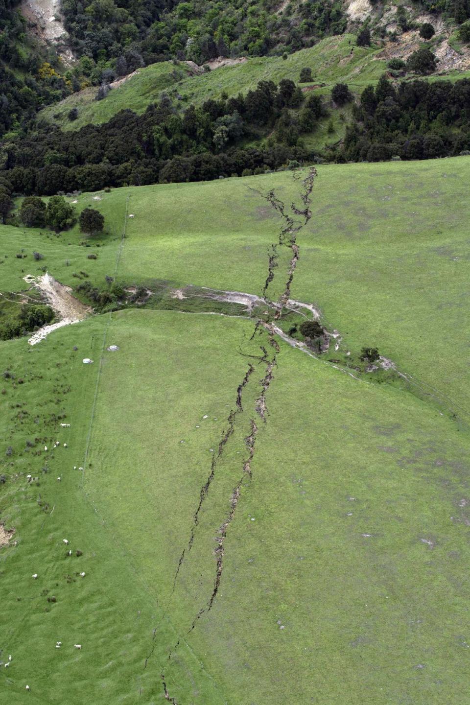 New Zealand Earthquake