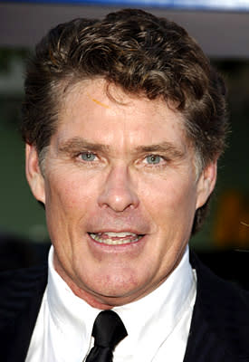 David Hasselhoff at the LA premiere of Columbia's Click