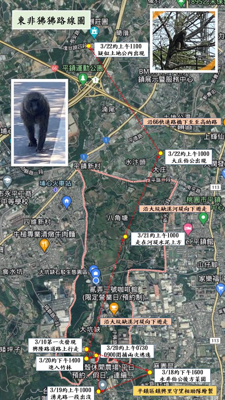 東非狒狒路線圖。（圖／取自黃志杰臉書）