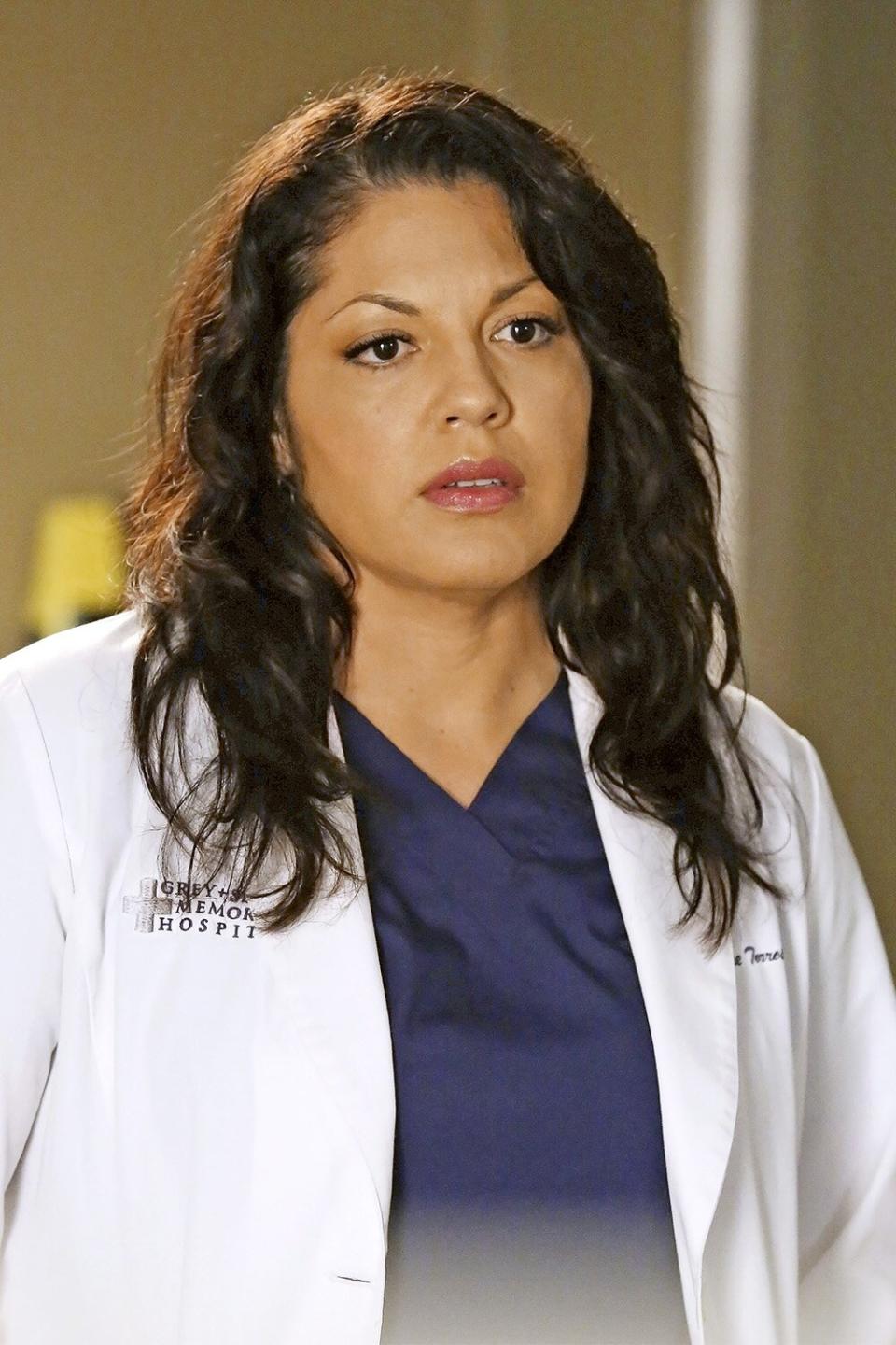 GREY'S ANATOMY Season 11, Episode 7 THURSDAY, NOVEMBER 2, 2014 SARA RAMIREZ