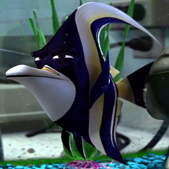 Gill from Finding Nemo