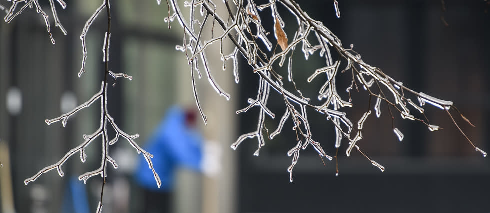 Le risque de pluies verglaçantes en début de matinée pèsera sur les Ardennes et l'ouest de la Lorraine jusqu'au Massif central. (Illustration)
