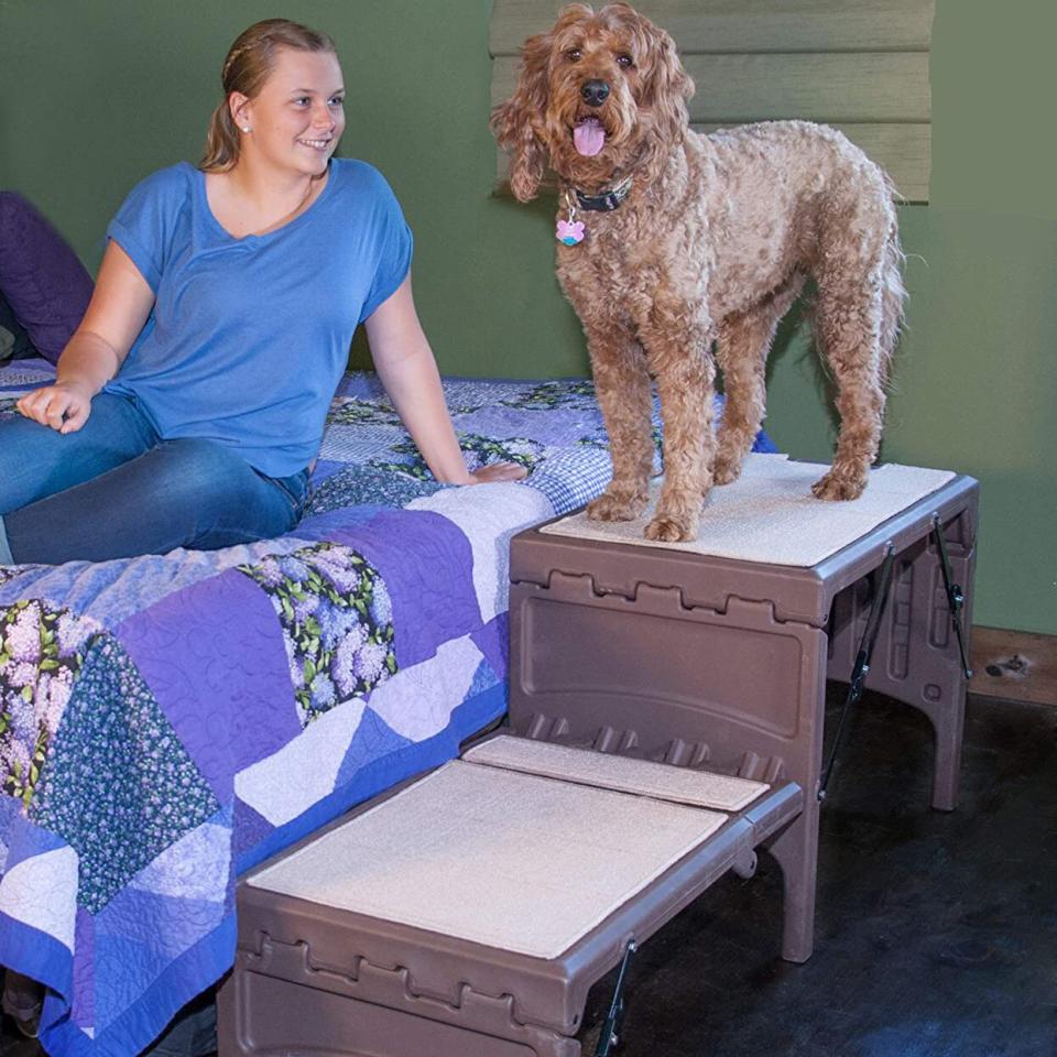 Photo of Pet Gear Free Standing Foldable Dog Car Steps next to a bed