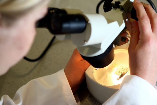 A student looks at matter under a microscope