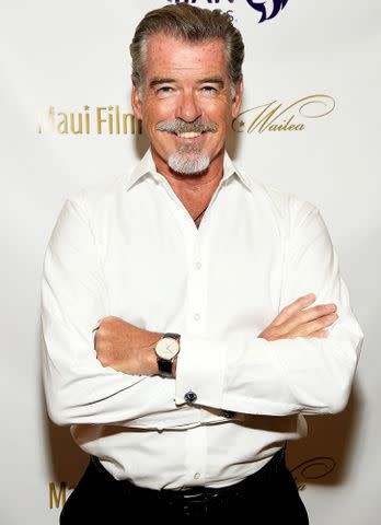 Matt Winkelmeyer/Getty Pierce Brosnan