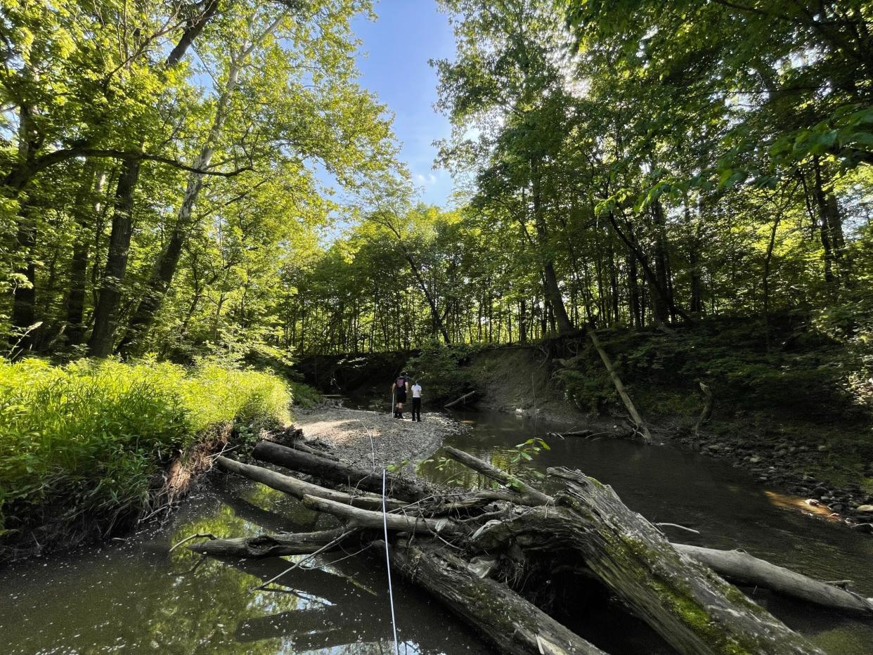 This stream in western Licking County was one of many surveyed for water quality in 2022 — before construction began on the Intel computer-chip manufacturing campus and before the Ohio Environmental Protection Agency proposed allowing small, privately operated wastewater-treatment facilities to dump effluent into such streams. After backlash, the Ohio EPA has withdrawn the proposal.