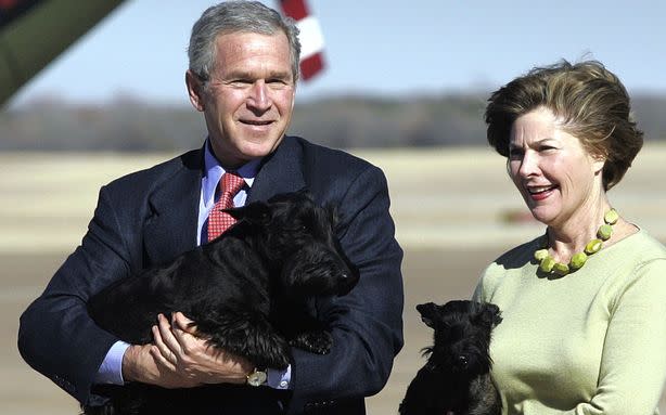 george bush dog paintings