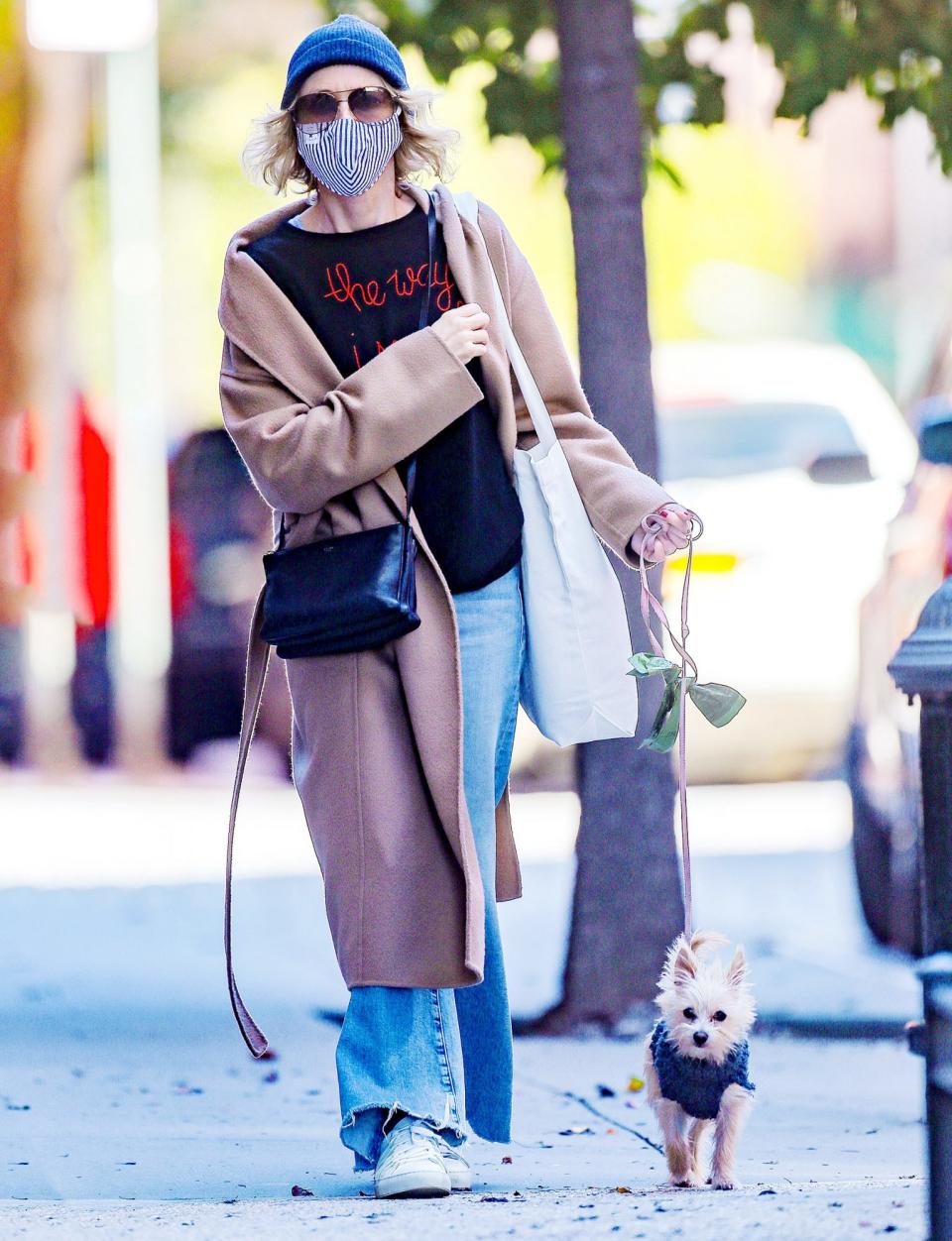 <p>Naomi Watts takes her sweet pup for a walk in N.Y.C. on Sunday.</p>