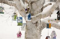 Personalized birdhouses are part of a memorial for the victims of the Sandy Hook Elementary School shooting in Newtown, Connecticut December 14, 2013 . Today marks the one year anniversary of the shooting rampage at Sandy Hook Elementary School, where 20 children and six adults were killed by gunman Adam Lanza. (REUTERS/Michelle McLoughlin)