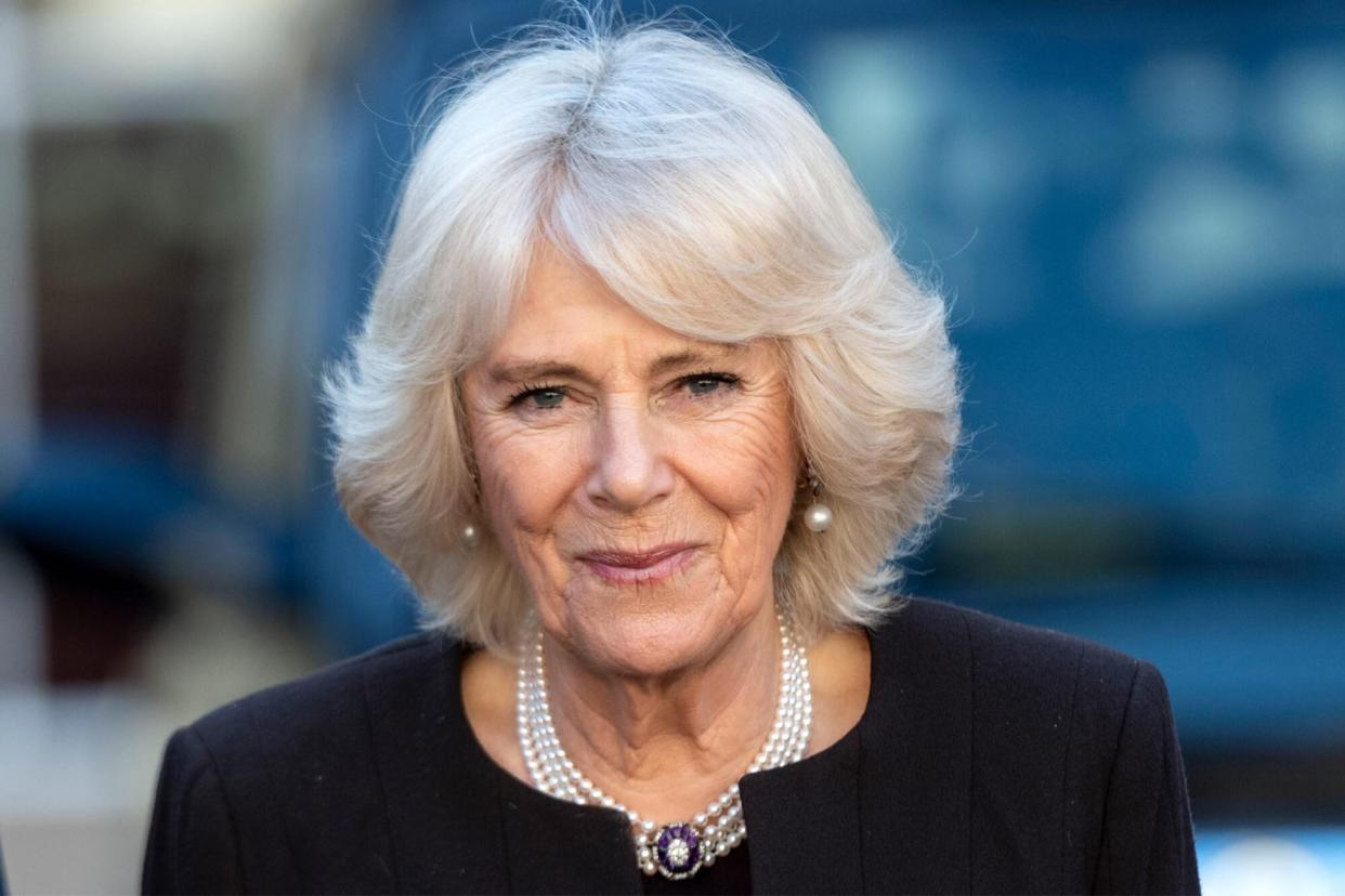 The Duchess Of Cornwall Hosts A Reception For The London Taxi Drivers' Charity For Children