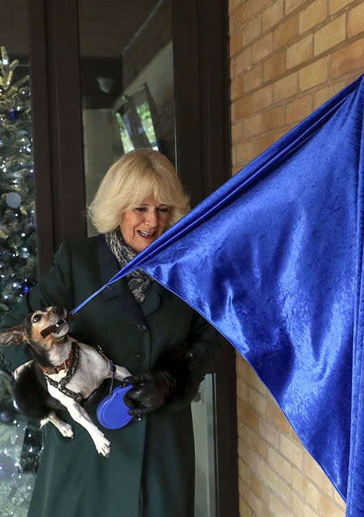 La reina Camilla con su perro 