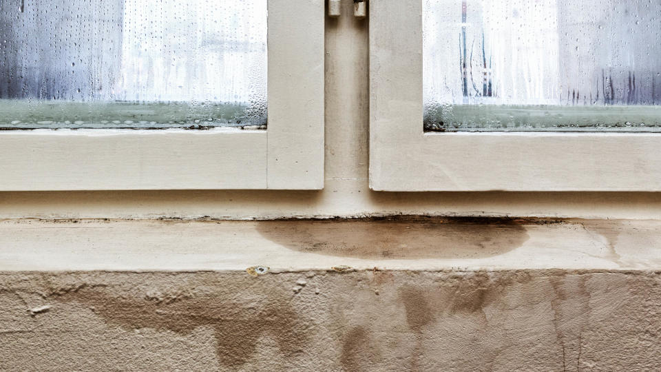 A window with condensation and damp beneath