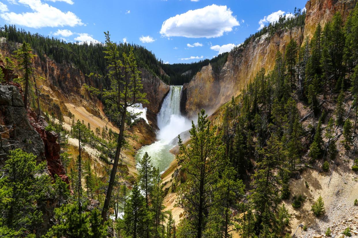 Lower Falls, the biggest waterfall in Yellowstone, is the most famous in the Park at 308 feet and lies in the Grand Canyon of the Yellowstone