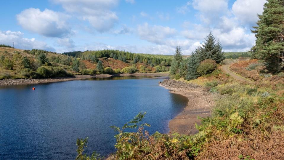 Lakeside Way at Kielder Water and Forest Park