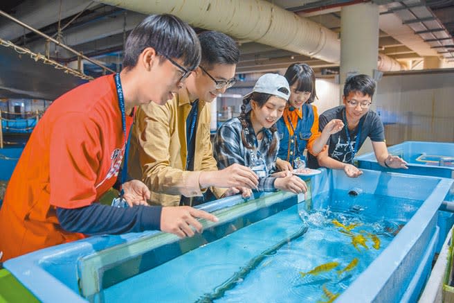 屏東海生館近日祭出「魚你同行」限量開放遊客進入後場，除揭祕復育基地，更是向化身小魚兒保母的飼育員致敬。（謝佳潾攝）