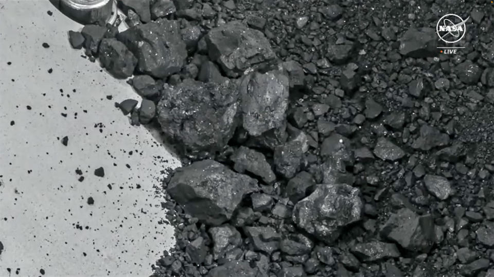 Les fragments de roche et le sol de l'astéroïde Bennu, revenu sur Terre le mois dernier par la sonde OSIRIS-REx de la NASA, montrent les couleurs sombres attendues des matériaux riches en carbone.  Les échantillons révélés mercredi par la NASA ont été trouvés à l’extérieur du conteneur d’échantillons principal, offrant aux scientifiques un bonus inattendu.  Le conteneur principal, qui contiendrait environ 8,8 onces de roche et de terre, n'a pas encore été ouvert.  /Crédit : NASA TV