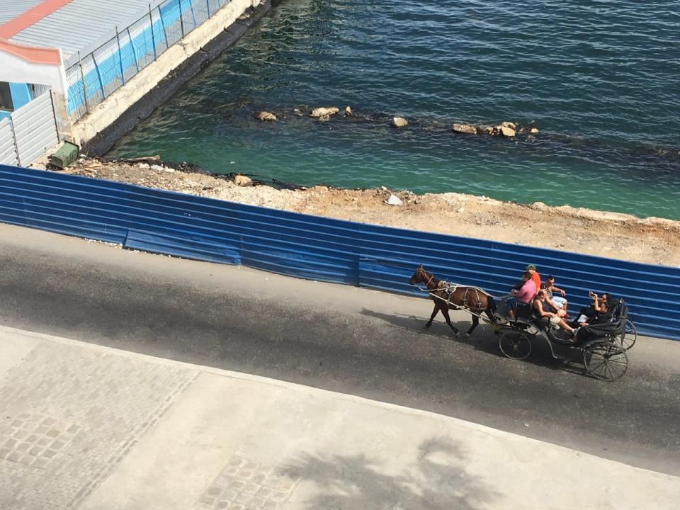 Horse-drawn cart ride