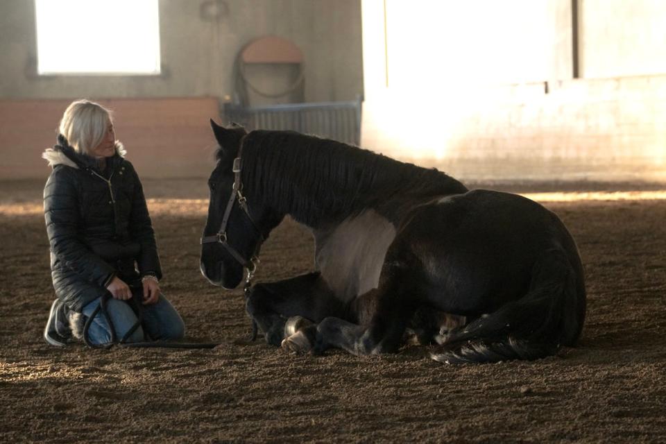 Regent with a participant from Ontario earlier this month, in Blackfalds, Alta.