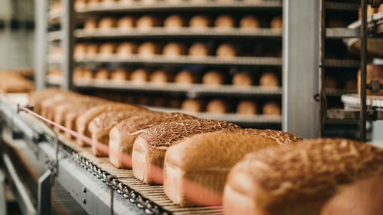 Bread in a bakery on an automated belt