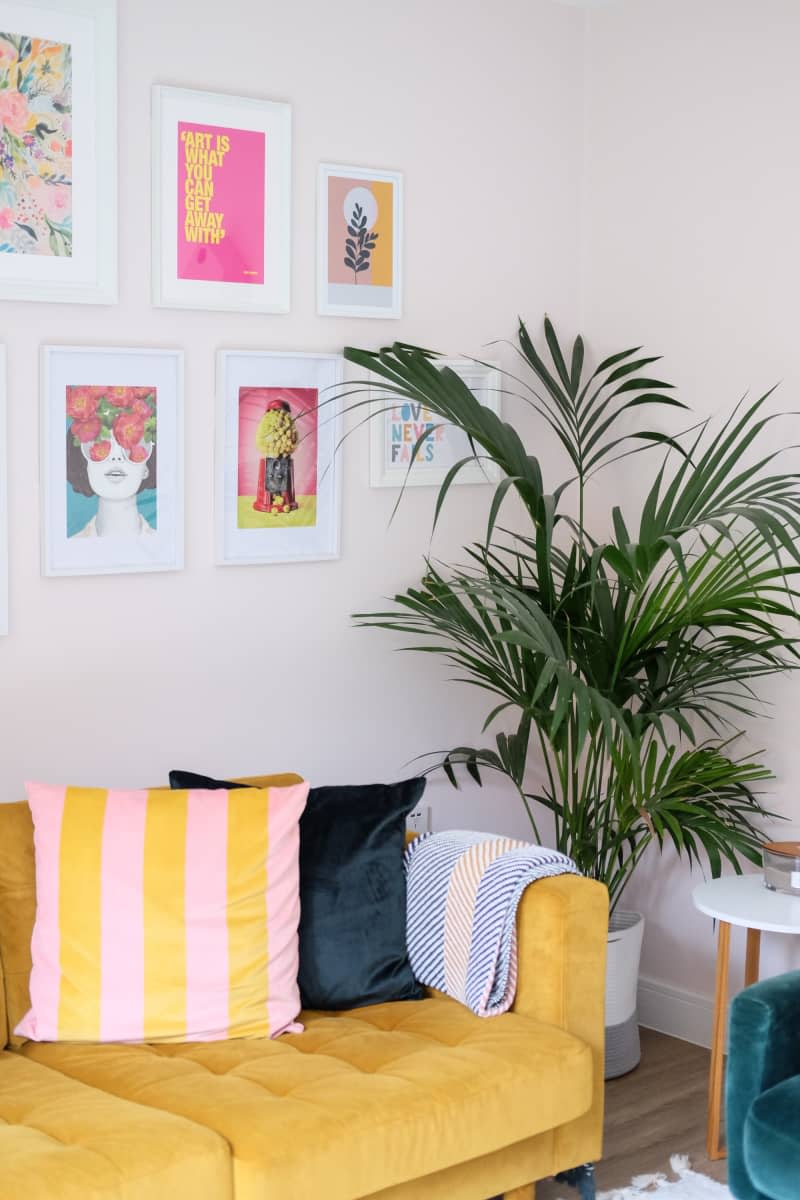 gallery wall above yellow couch with pink and yellow striped and blue throw pillow, large fern in corner
