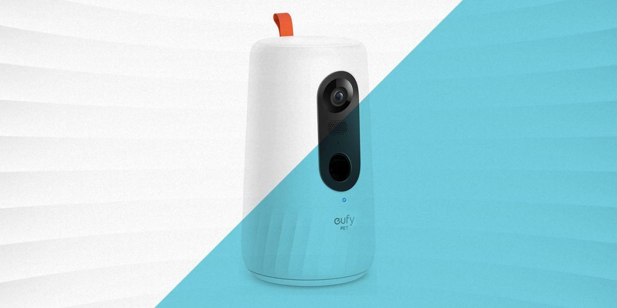 best pet cameras