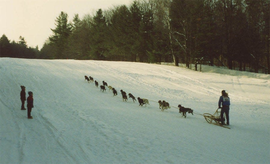 Doug Butler’s pack of 22 sled dogs, who pull him on four wheelers and dogsleds in a scene from the documentary "Underdog," playing at All Saints Cinema Aug. 26-27, 2020.
