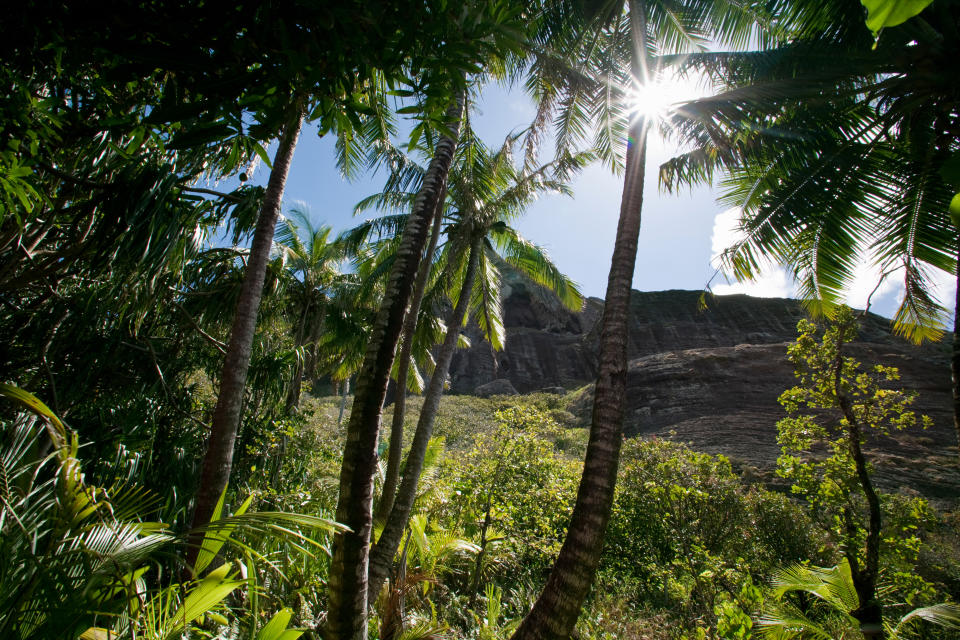 Pitcairn has only 50 permanent residents - Credit: Getty