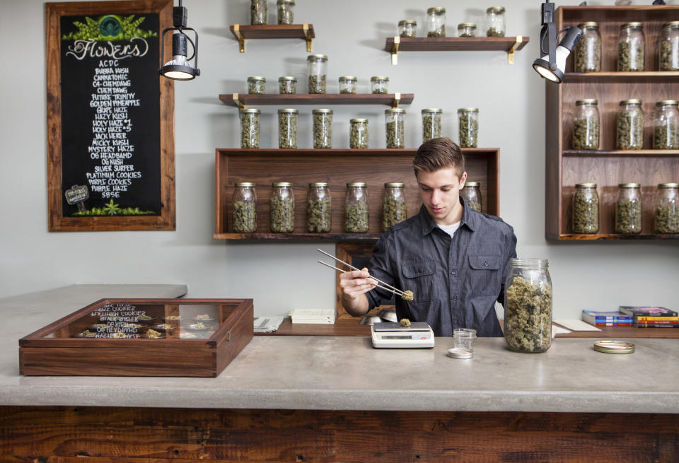 Person at a cannabis store behind the counter weighing buds