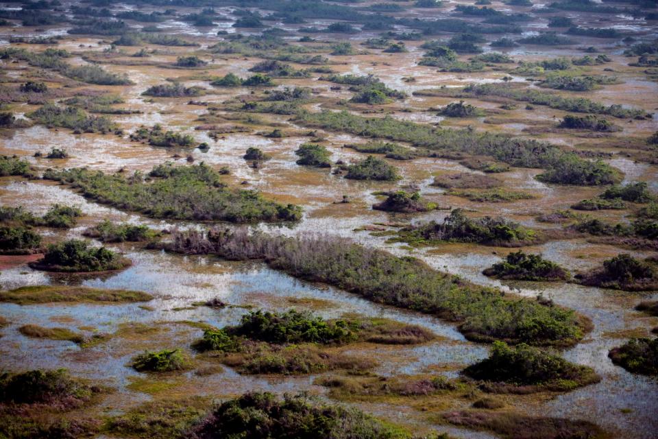 Loxahatchee National Wildlife refuge as seen from a South Florida Water Management research flight Monday, April 29, 2019. "This is an area in the central refuge with lots of nice tree islands," said lead scientist Mark Cook. [BRUCE R. BENNETT/palmbeachpost.com]