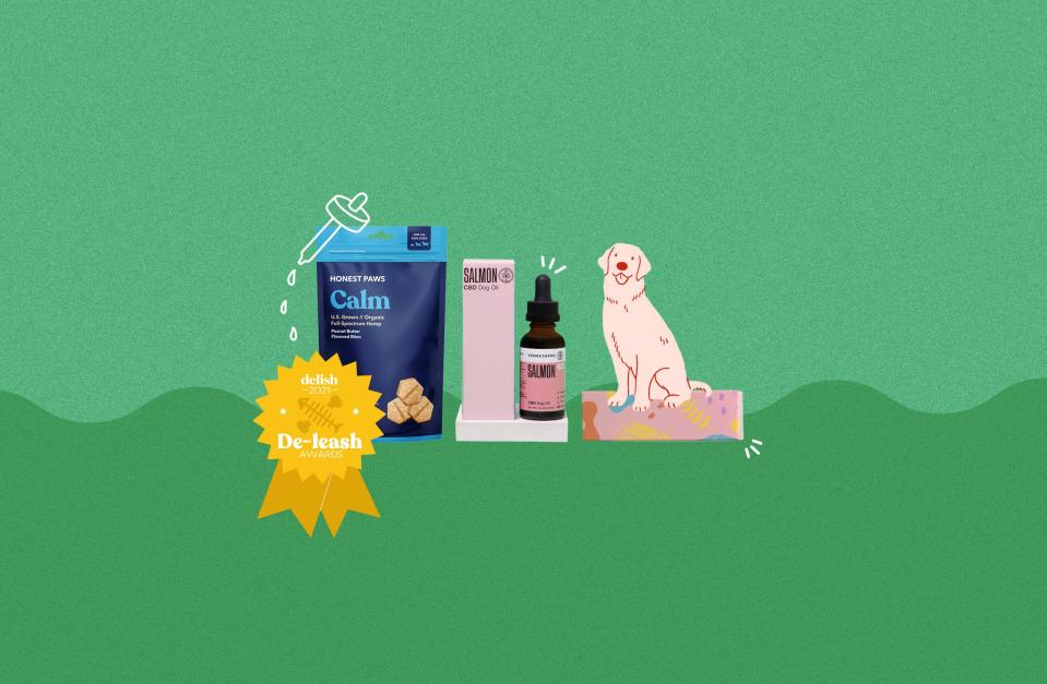 The 5 Best CBD Products For Dogs On The Market Right Now