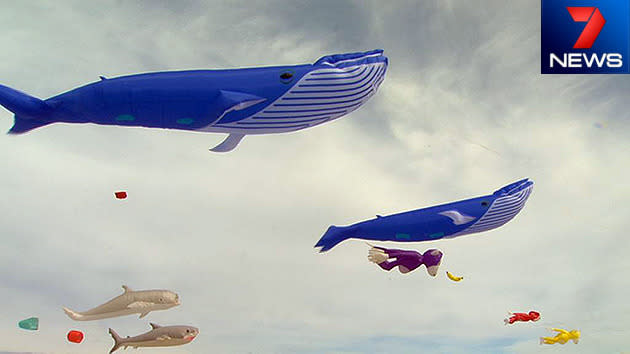 Adelaide International Kite Festival 2014