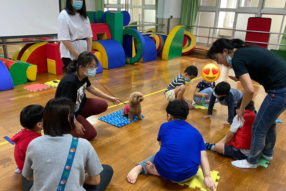 學習輔助犬一起上團體課程，增加特殊需求幼兒專注力