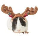 <p>Step aside, Rudolph! </p> <p><strong>Buy it!</strong> Holiday Antlers Guinea Pig Headpiece, $5.99; <a href="https://www.anrdoezrs.net/links/8029122/type/dlg/sid/PEO15HolidayOutfitsforSmallPetsthatLetReptilesandGuineaPigsJointheFestiveFunkbender1271PetGal13032410202112I/https://www.chewy.com/frisco-holiday-antlers-guinea-pig/dp/302600" rel="sponsored noopener" target="_blank" data-ylk="slk:Chewy.com;elm:context_link;itc:0;sec:content-canvas" class="link ">Chewy.com </a></p>