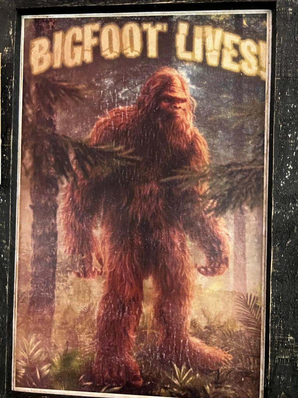 Bigfoot Basecamp Weekend will be Thursday through Sunday at Pleasant Hill Lake Park in Ashland County. The event features guest speakers, children's activities, campfire stories and a Bigfoot town hall for those who would like to report sightings.