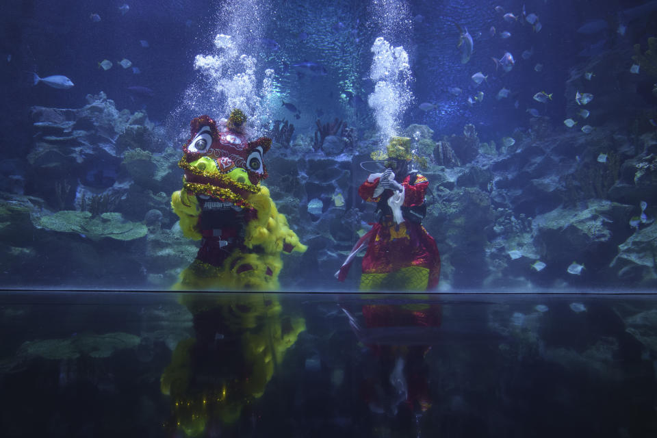 Divers perform an underwater lion dance at the KLCC Aquaria during Chinese Lunar New Year celebrations in Kuala Lumpur, Friday, Feb. 12, 2021. (AP Photo/Vincent Thian)