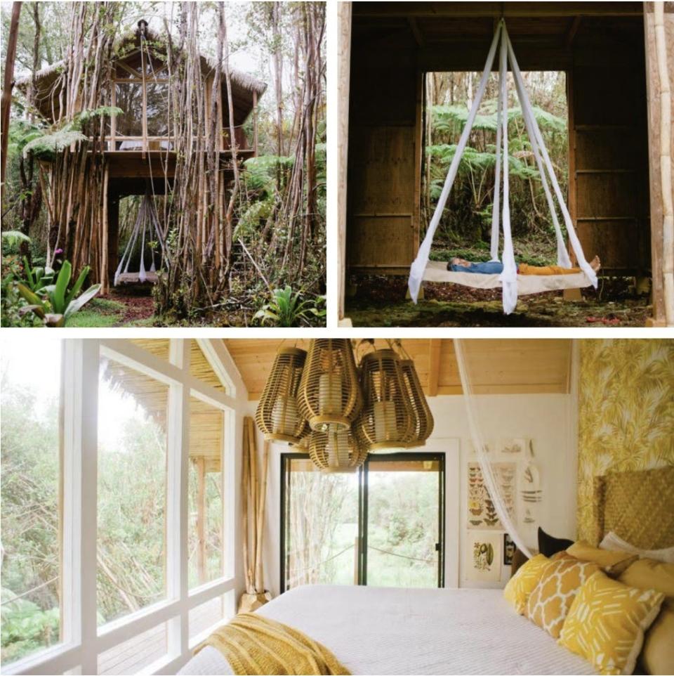 The Tropical Treehouse