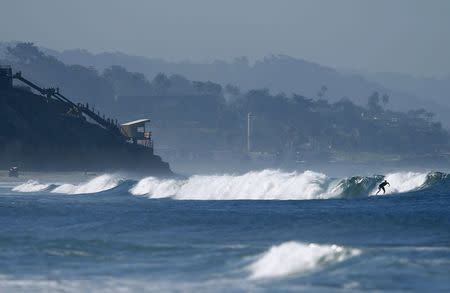 Surfers enjoy the swell of large waves being generated out in the Pacific Ocean by Hurricane Marie, as they ride waves in Solana Beach, California August 27, 2014. REUTERS/Mike Blake