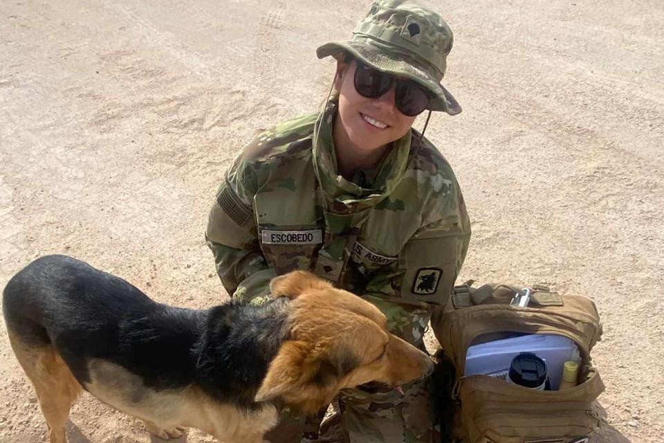 <p>Paws of War</p> U.S. Army Specialist Cedwin and Koda