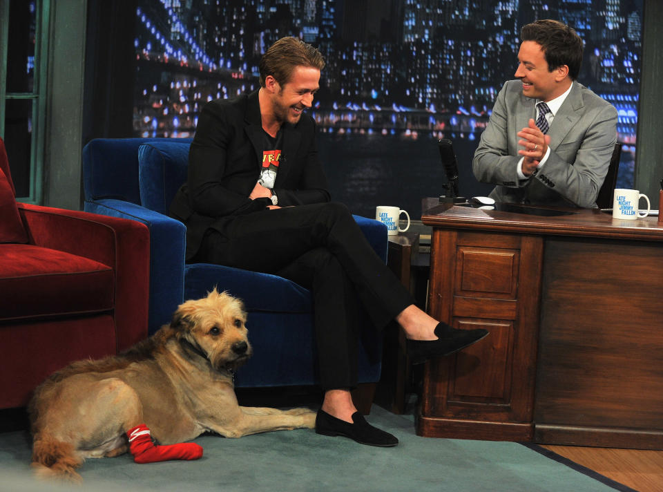 NEW YORK, NY - JULY 20:  Ryan Gosling along with his dog George visits "Late Night With Jimmy Fallon" at Rockefeller Center on July 20, 2011 in New York City.  (Photo by Theo Wargo/Getty Images)