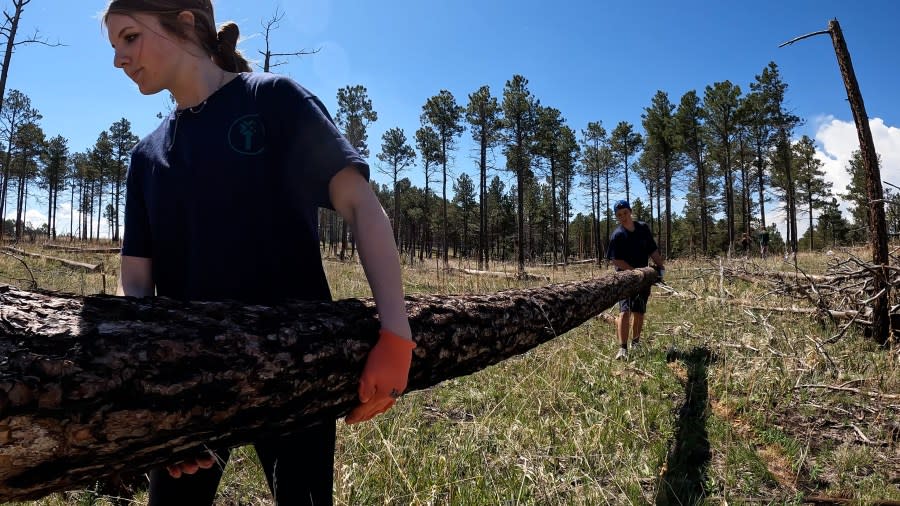 Two students worked together to help clear out a piece of dead wood from the area.