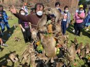 Annual Monkey Festival resumes in Thailand's Lopburi province