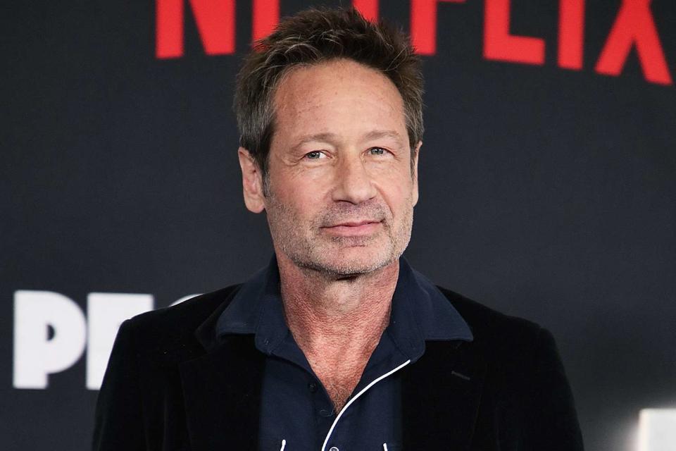 <p>Robin L Marshall/WireImage</p> David Duchovny